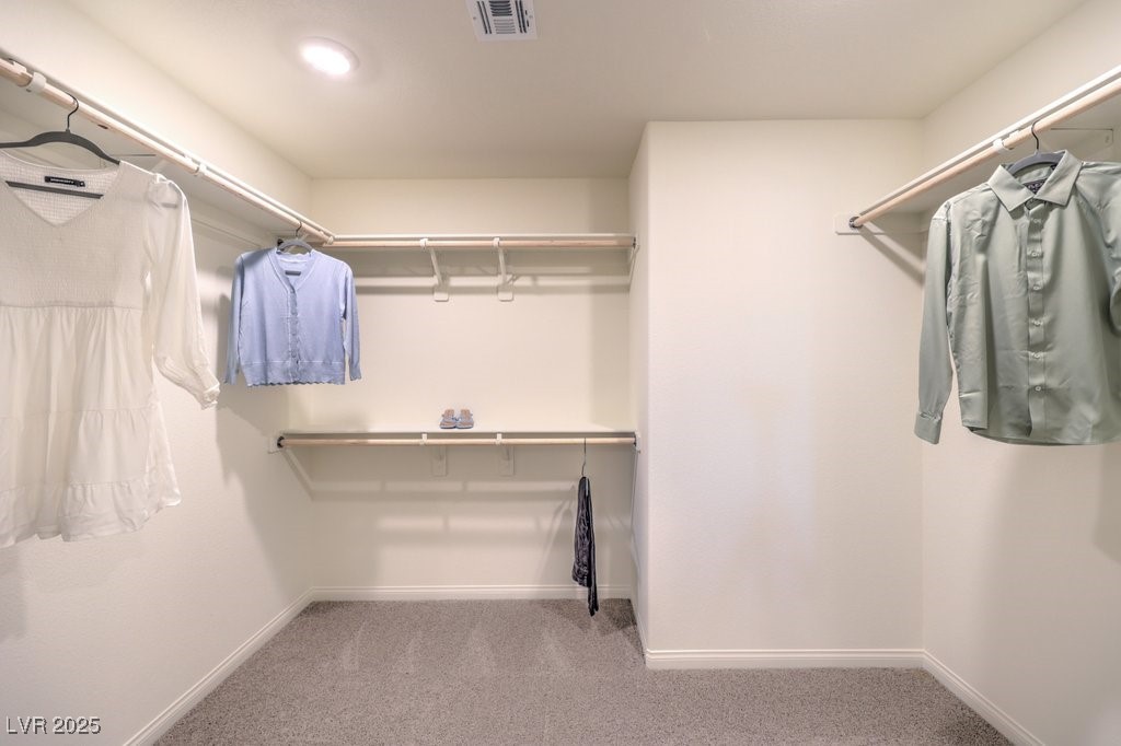 2625 Begonia Falls Avenue 84 Property Photo 33