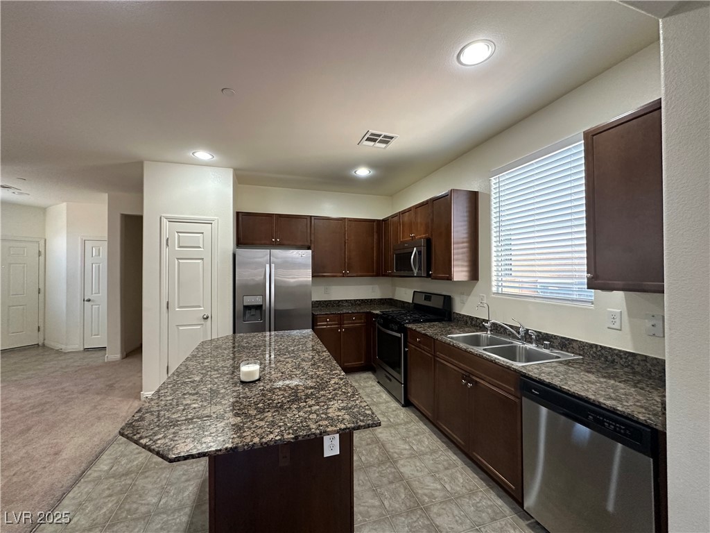 1033 Pebble Lake Street Property Photo 2