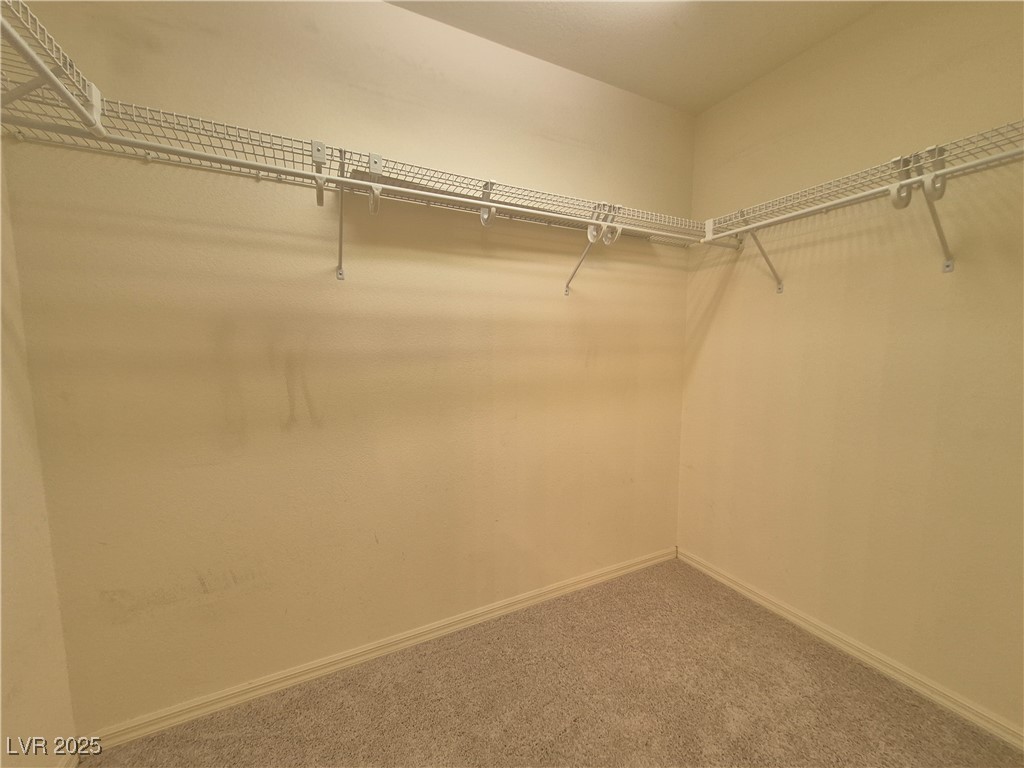 4814 Regalo Bello Street Property Photo 22