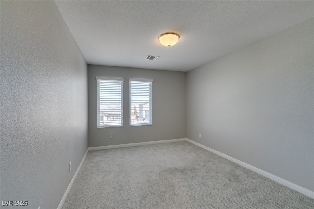 10319 Santero Bay Court Property Photo 32