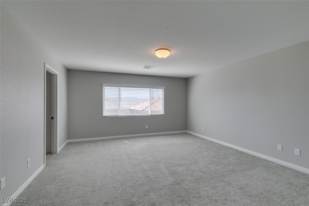 10319 Santero Bay Court Property Photo 36
