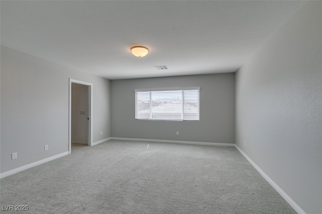 10319 Santero Bay Court Property Photo 37