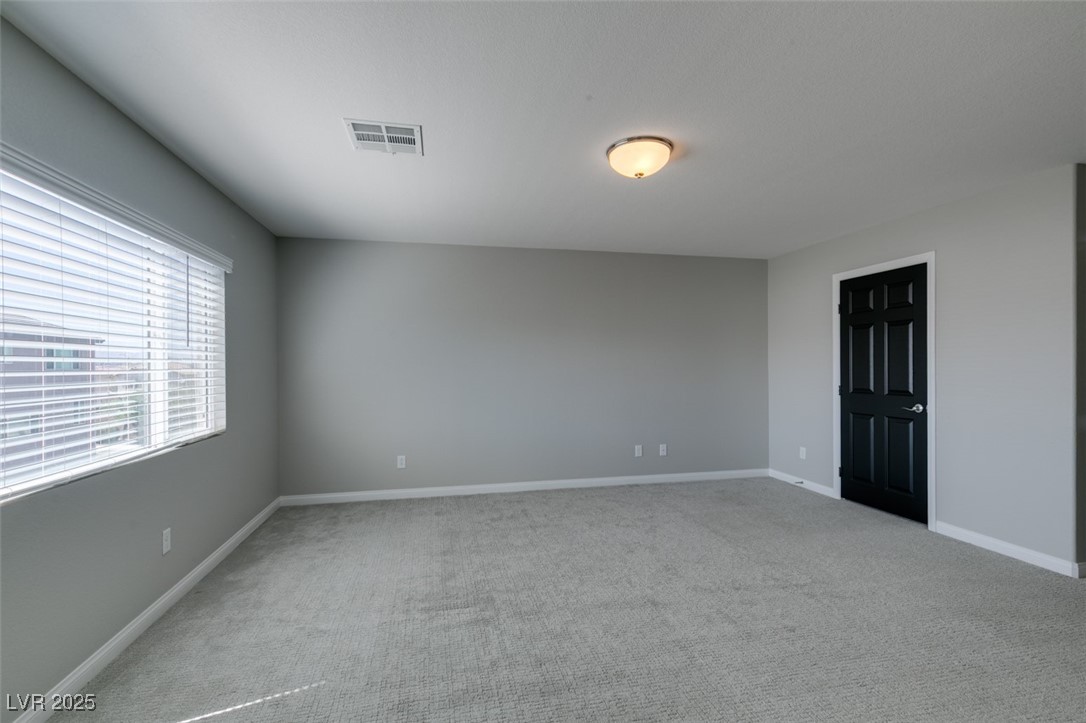 10319 Santero Bay Court Property Photo 38