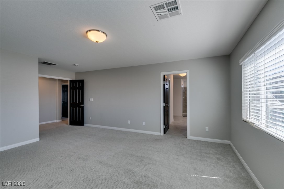 10319 Santero Bay Court Property Photo 39