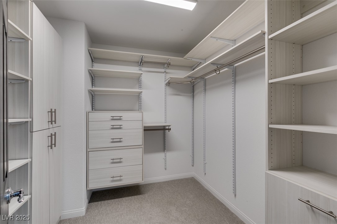 10319 Santero Bay Court Property Photo 41