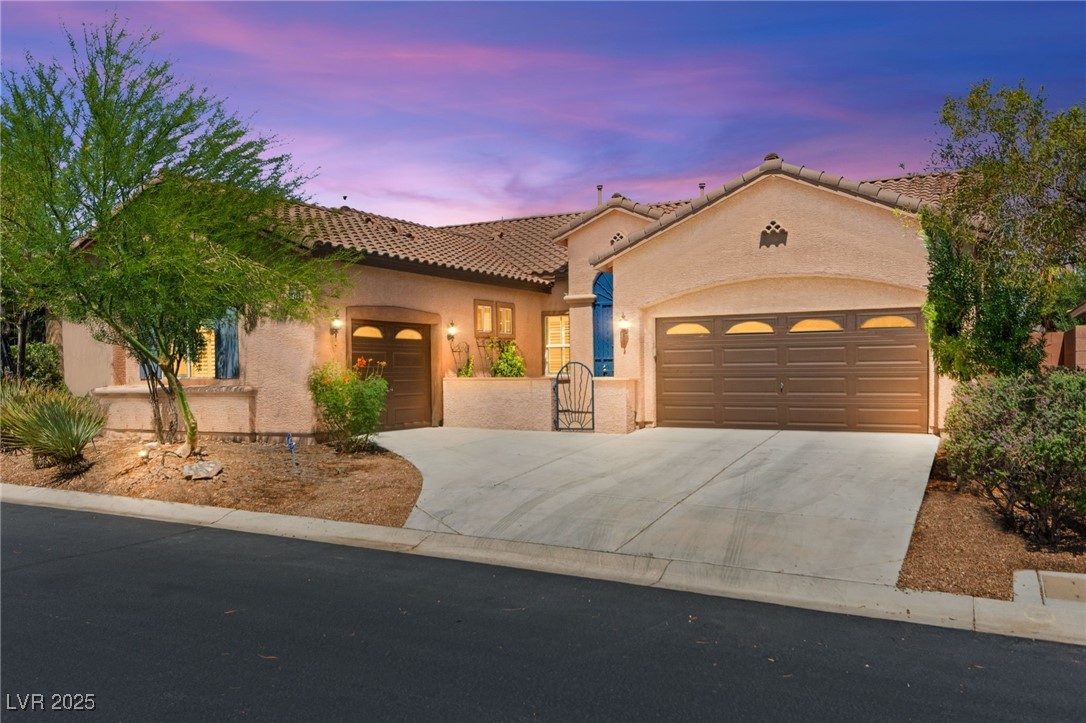 10348 Hawks Wing Street Property Photo 1