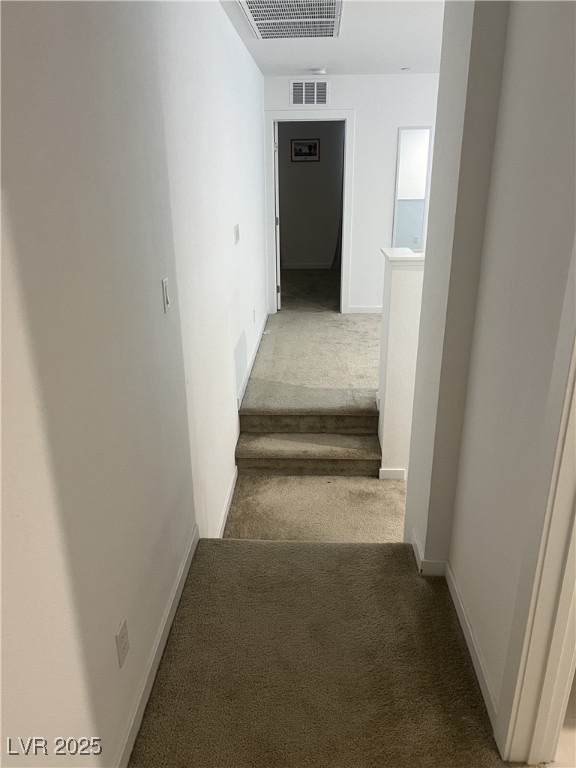 3219 Bertonico Avenue Property Photo 22