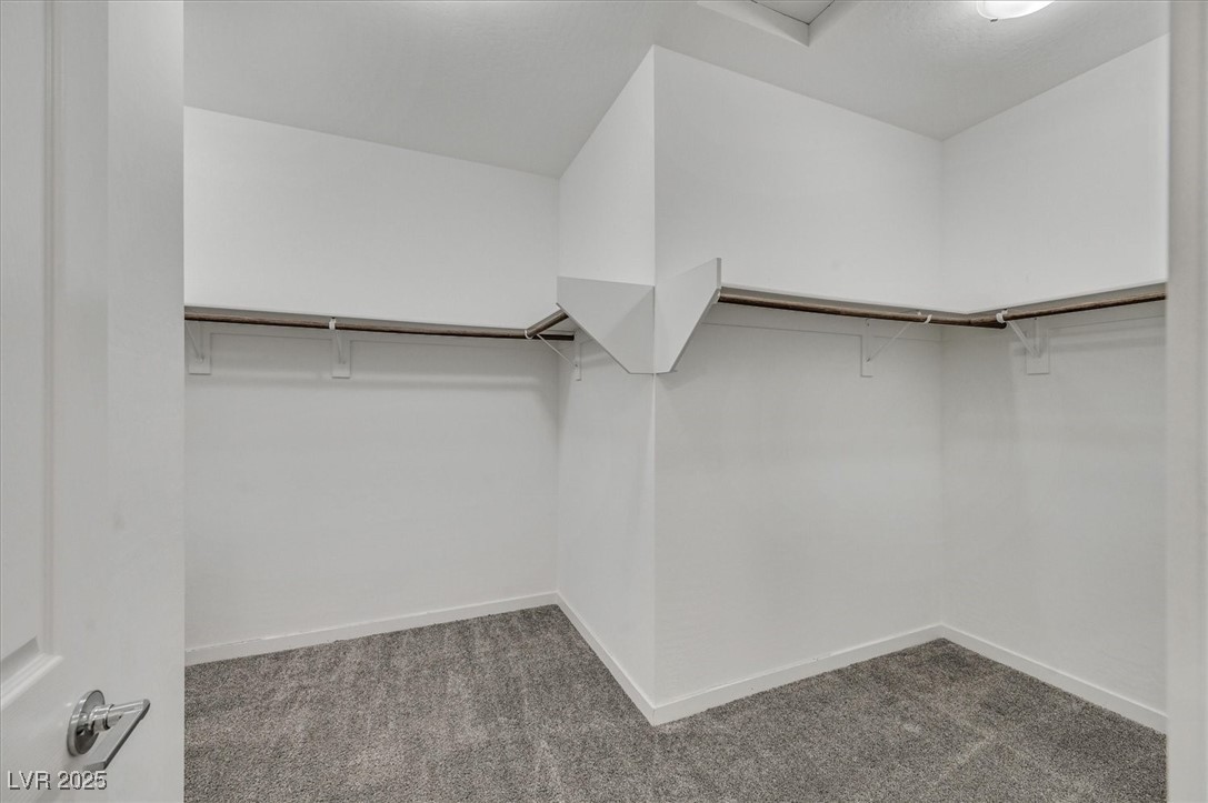 786 Etter Creek Street Property Photo 42