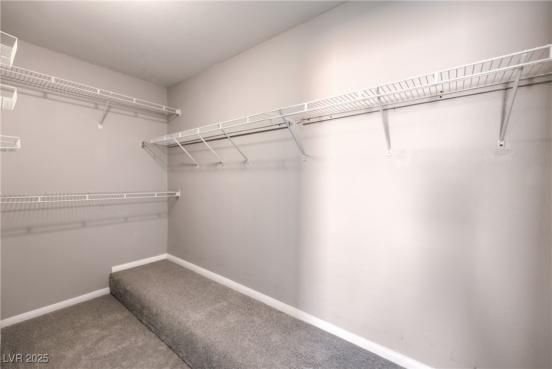 8712 Texas Bronco Avenue Property Photo 23