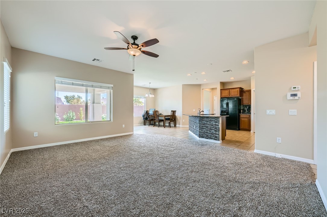 10693 Harvest Green Way Property Photo 13