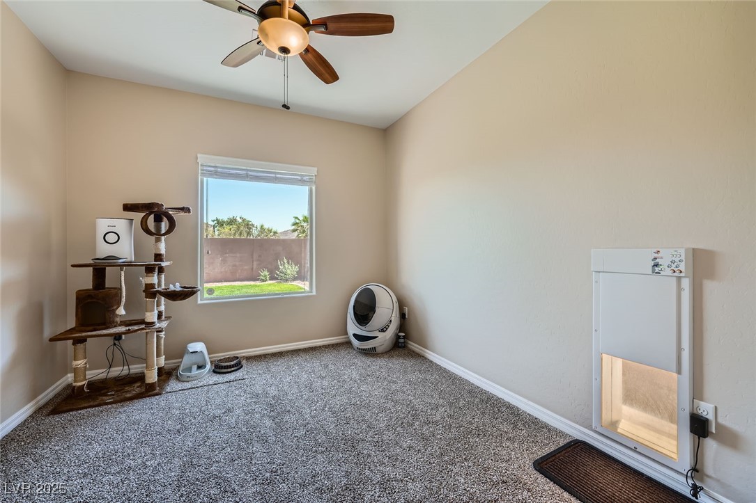 10693 Harvest Green Way Property Photo 14