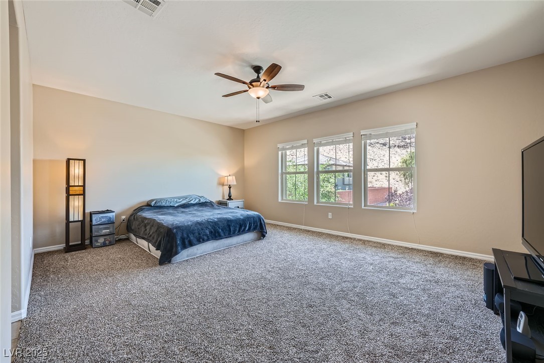 10693 Harvest Green Way Property Photo 15
