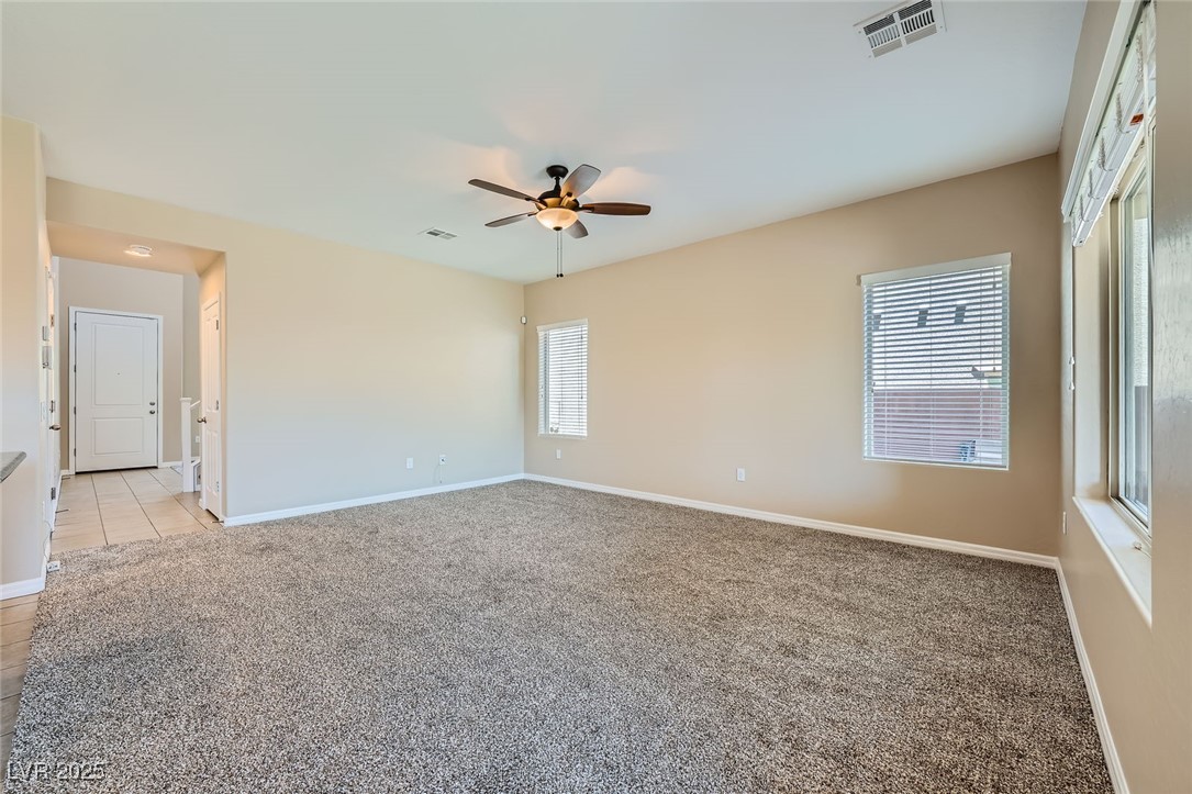 10693 Harvest Green Way Property Photo 19