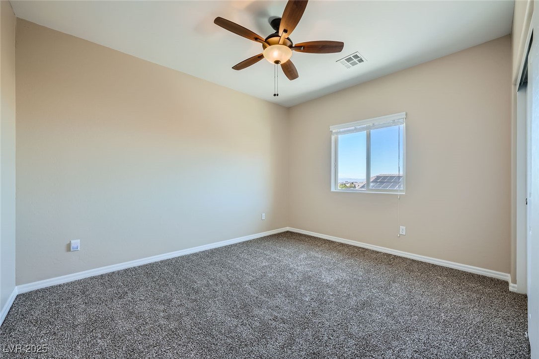 10693 Harvest Green Way Property Photo 20