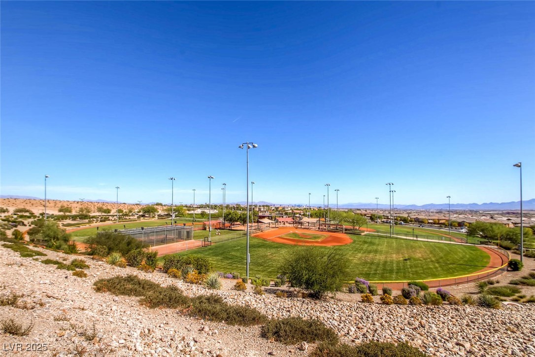 10693 Harvest Green Way Property Photo 39