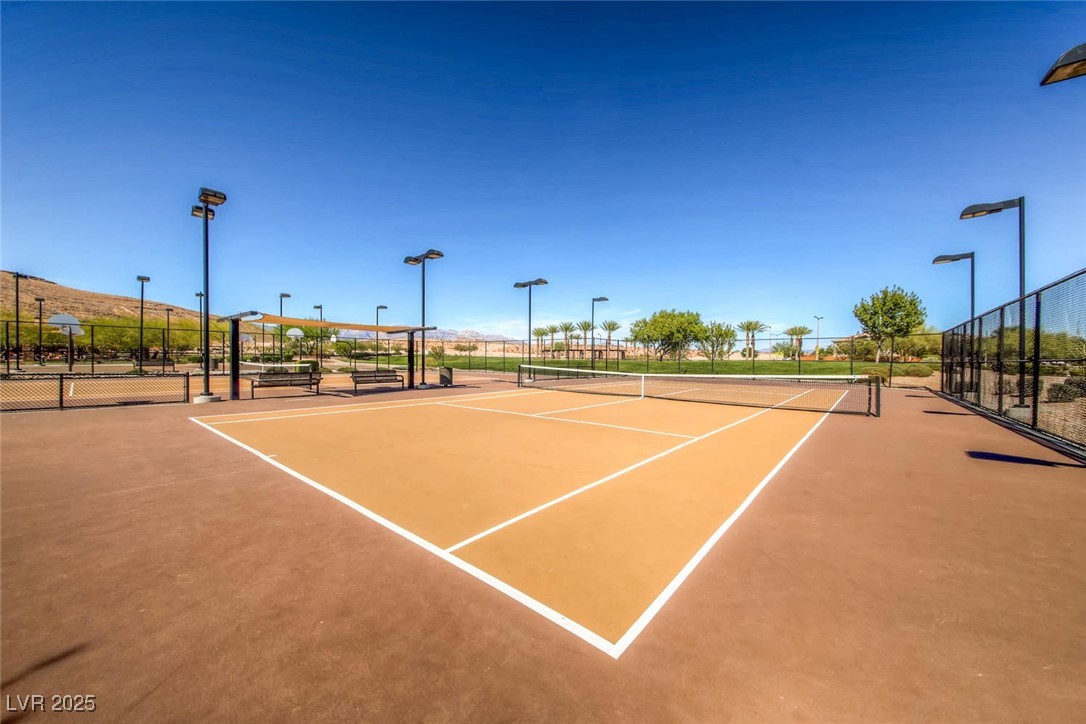 10693 Harvest Green Way Property Photo 40
