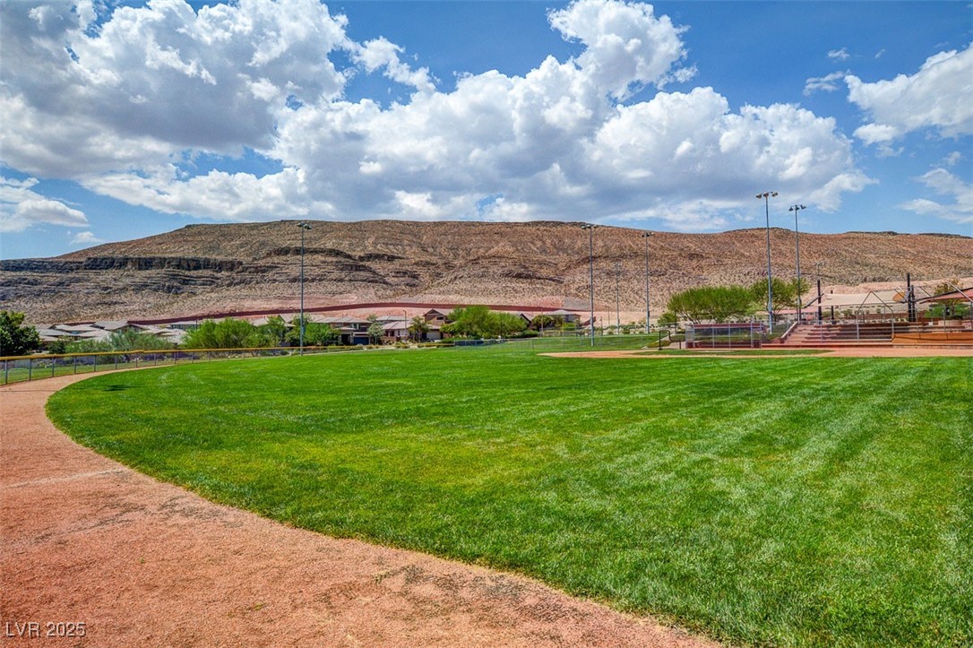 10693 Harvest Green Way Property Photo 43