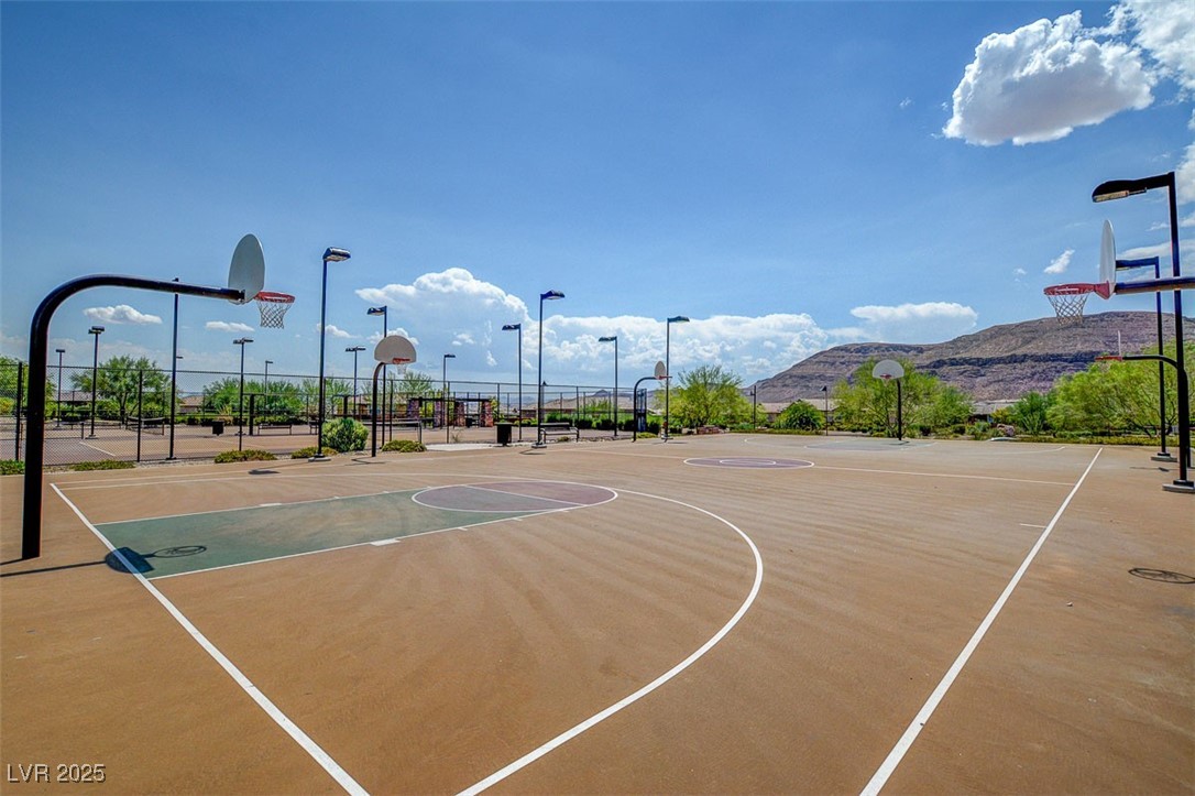 10693 Harvest Green Way Property Photo 45