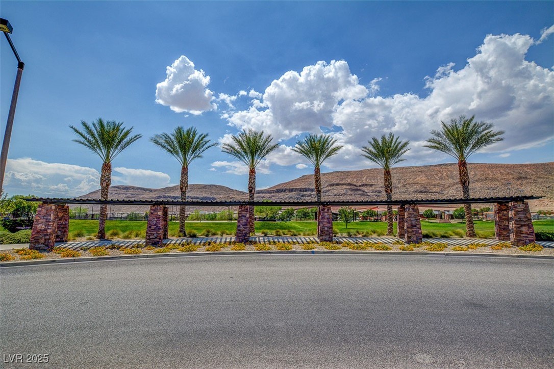 10693 Harvest Green Way Property Photo 46
