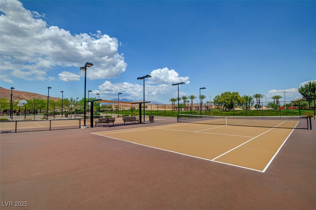10693 Harvest Green Way Property Photo 48