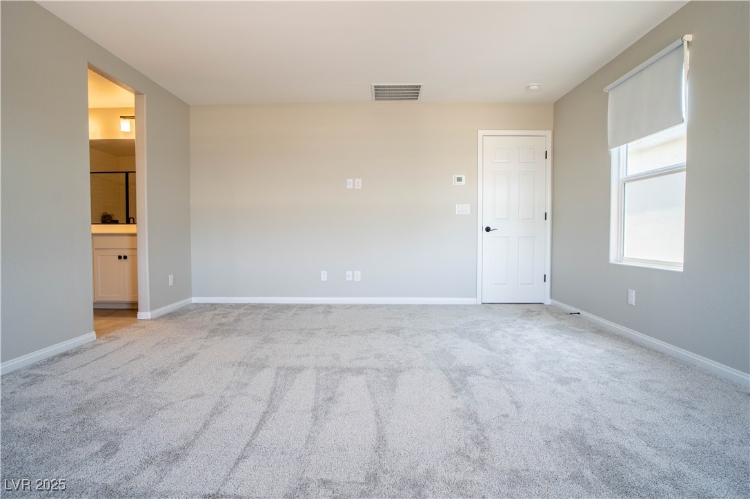 3922 Painted Lady Avenue Property Photo 14