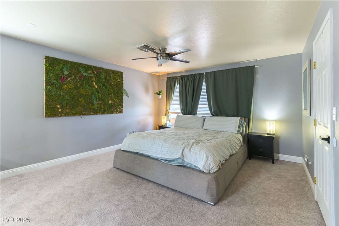 8484 Montana Stream Avenue Property Photo 18