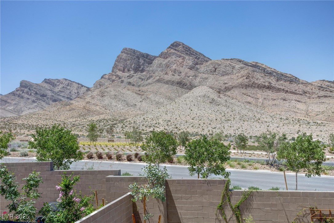 11652 Desert Hollow Avenue Property Photo 26