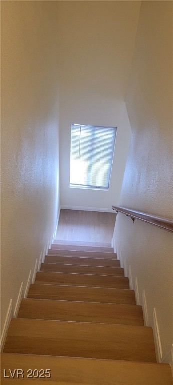 5196 Golden Lane C Property Photo 17