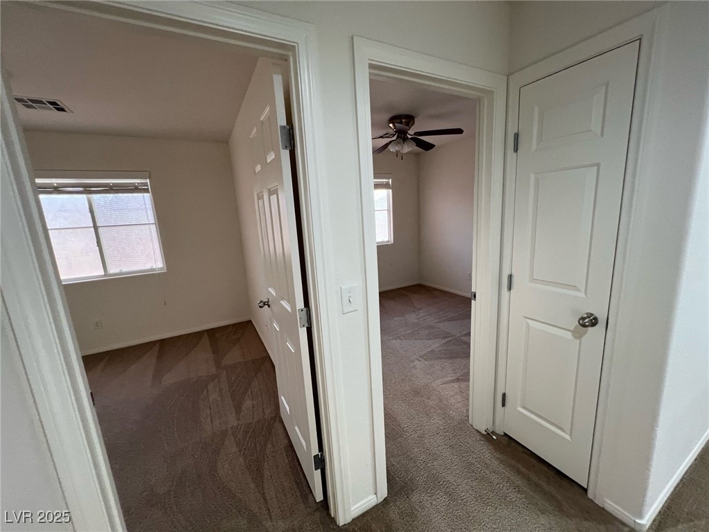 8034 Indian Blanket Street Property Photo 23