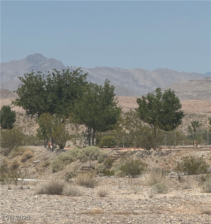 1120 Greasewood Lane Property Photo 21