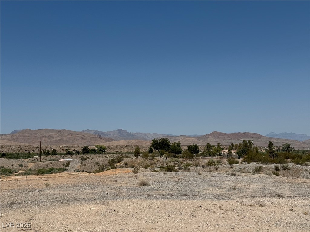 1120 Greasewood Lane Property Photo 23
