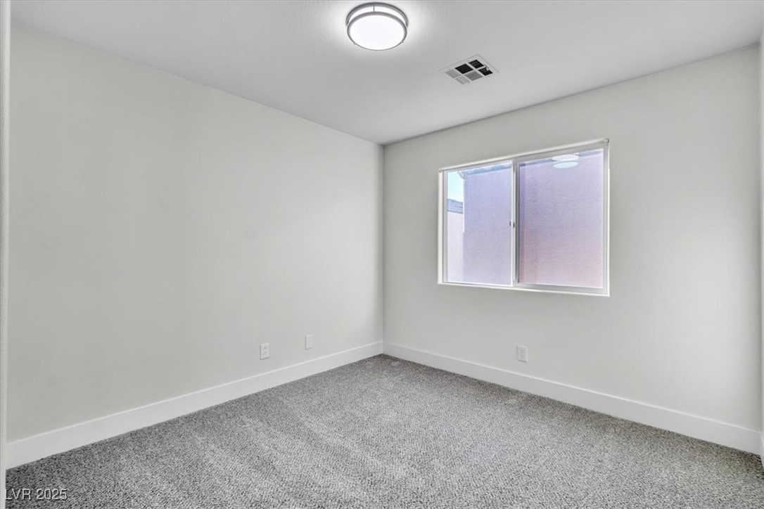 10373 Midnight Iris Street Property Photo 20