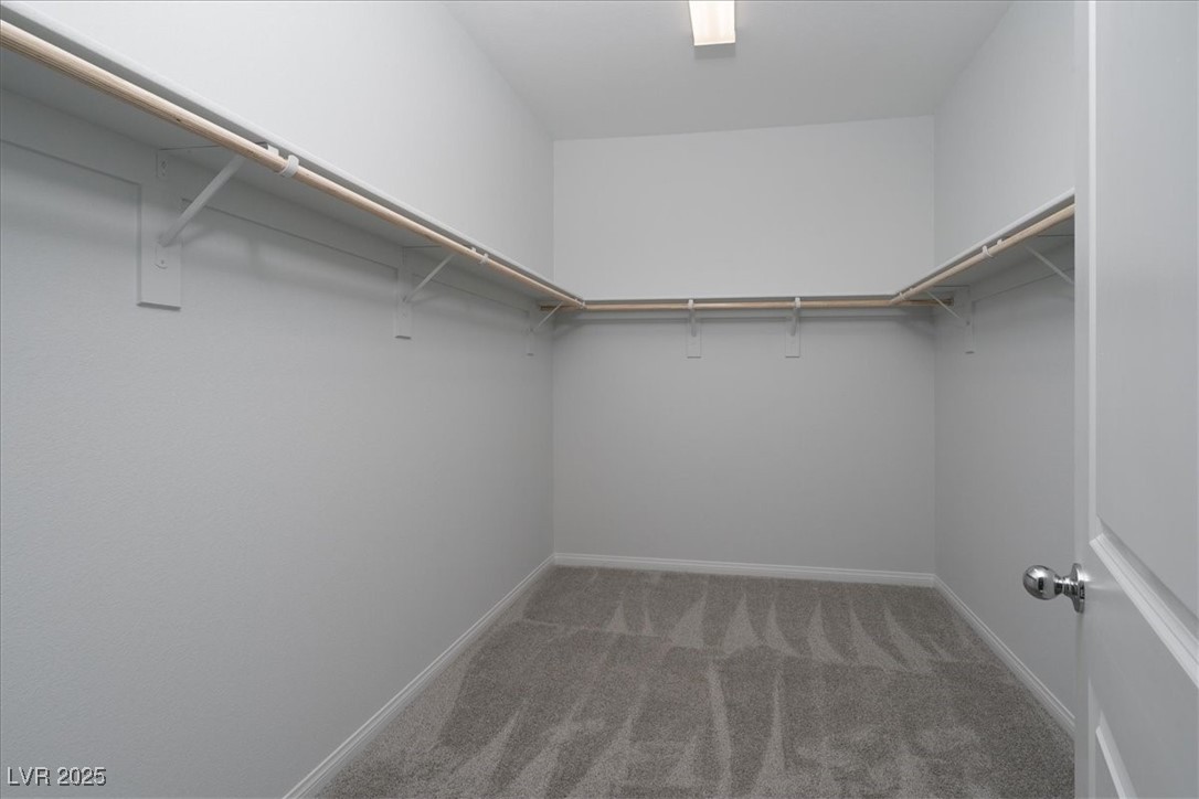 817 Cottonwood Hill Place Property Photo 34