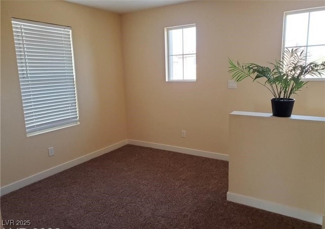 8775 Autumn Teal Avenue Property Photo 11