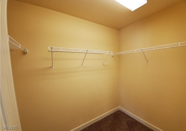 8775 Autumn Teal Avenue Property Photo 18