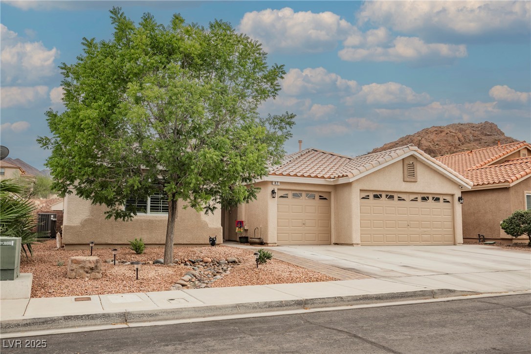 47 Desert Sunflower Circle Property Photo 3