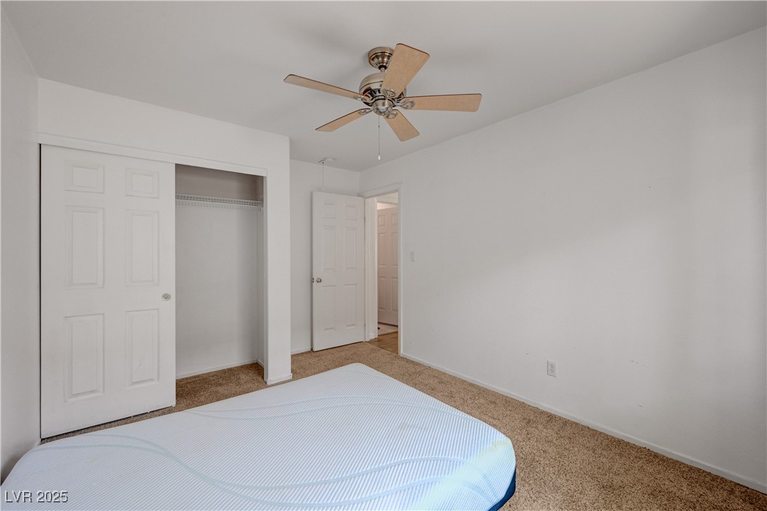 7488 Evening Falls Drive Property Photo 33
