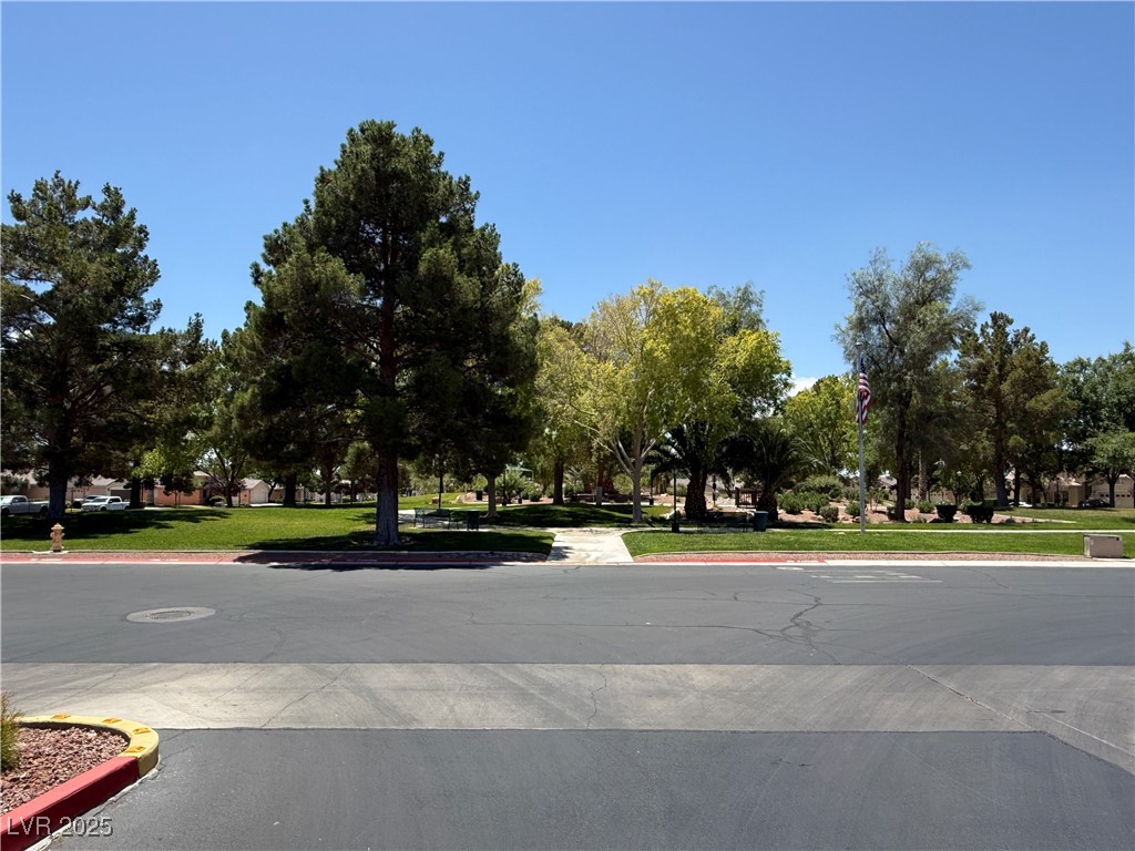 7488 Evening Falls Drive Property Photo 49
