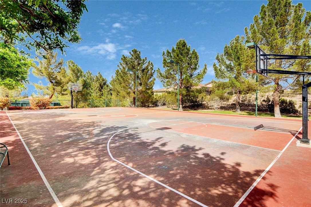 3025 Seaford Peak Drive Property Photo 15