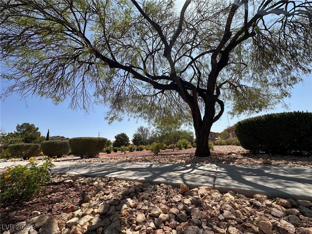 4351 Hera Temple Avenue Property Photo 7