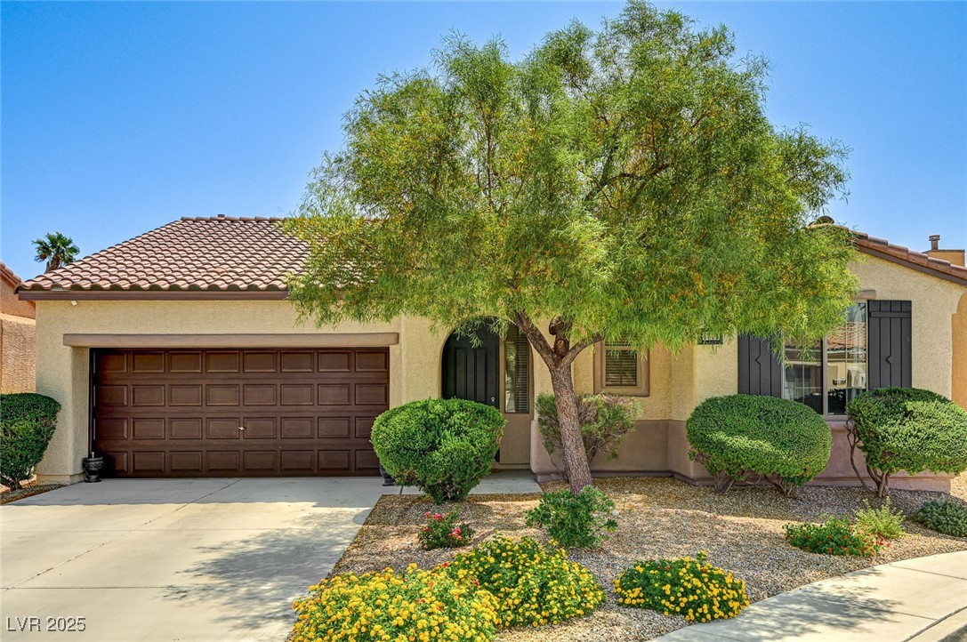 6808 Mystic Plain Court Property Photo 2