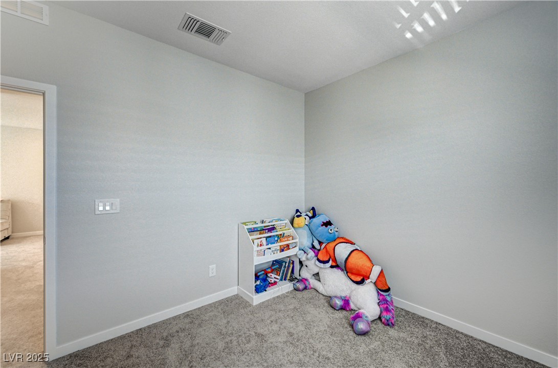 11402 Ethereal Landing Avenue Property Photo 29