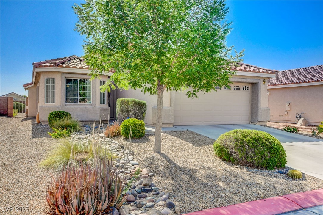 6656 Arctic Breeze Street Property Photo 1