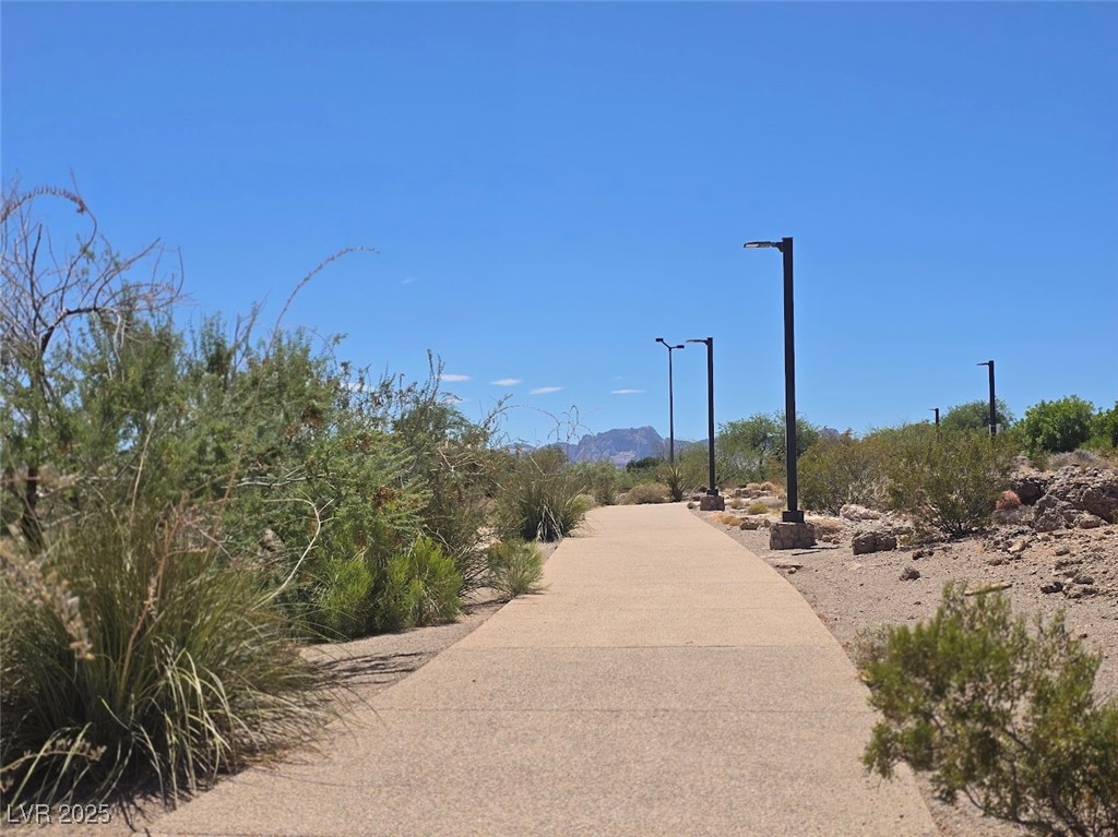 601 Summer Mesa Drive Property Photo 35