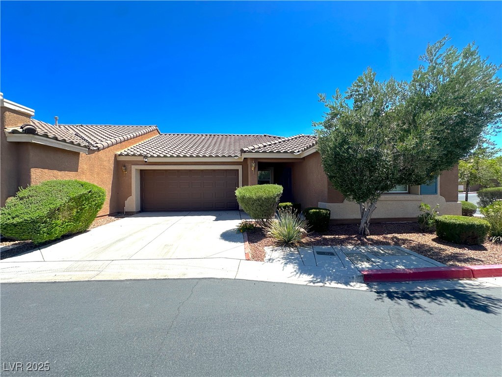 9221 Candilela Court Property Photo 1