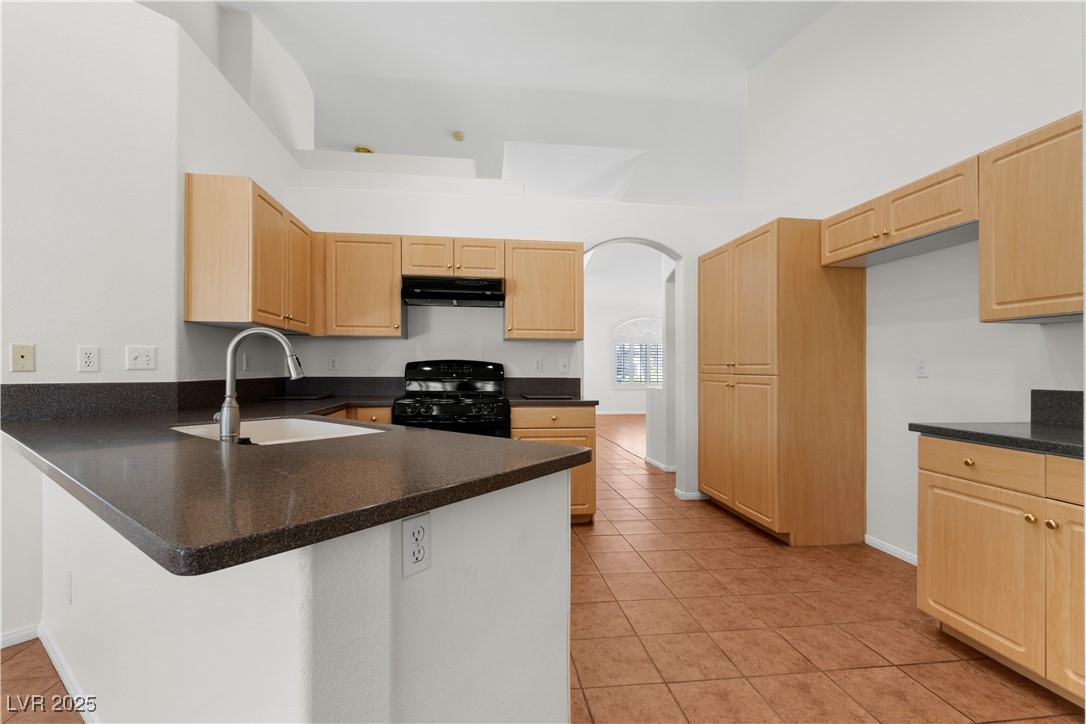 1132 Coral Desert Drive Property Photo 7
