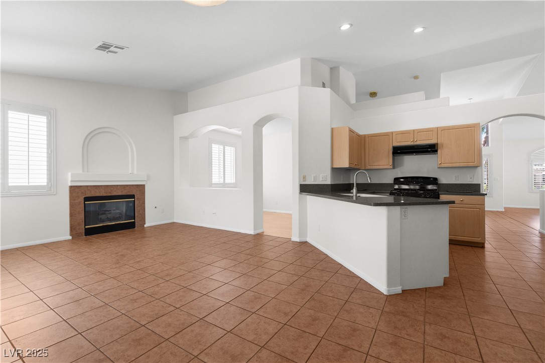 1132 Coral Desert Drive Property Photo 9