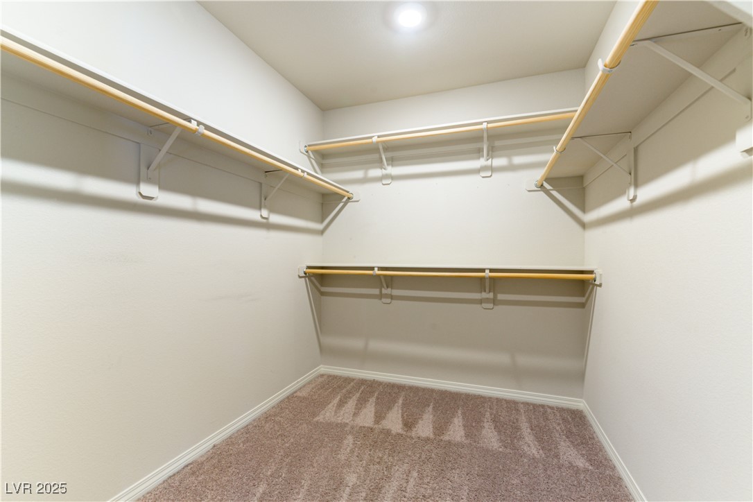 10357 Toasted Acorn Drive Property Photo 21