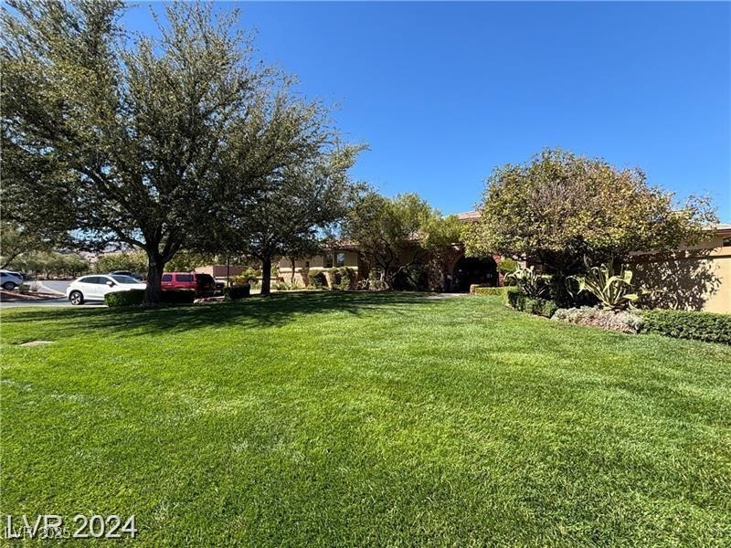 6187 Novelty Street Property Photo 76