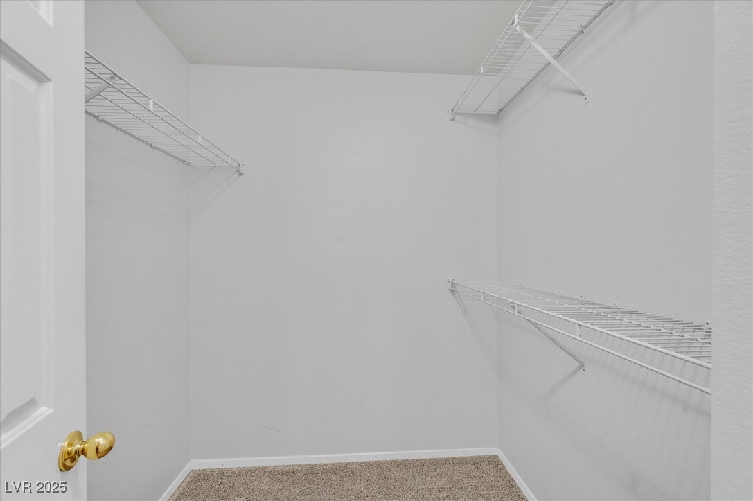 690 Ambling Gait Avenue Property Photo 21